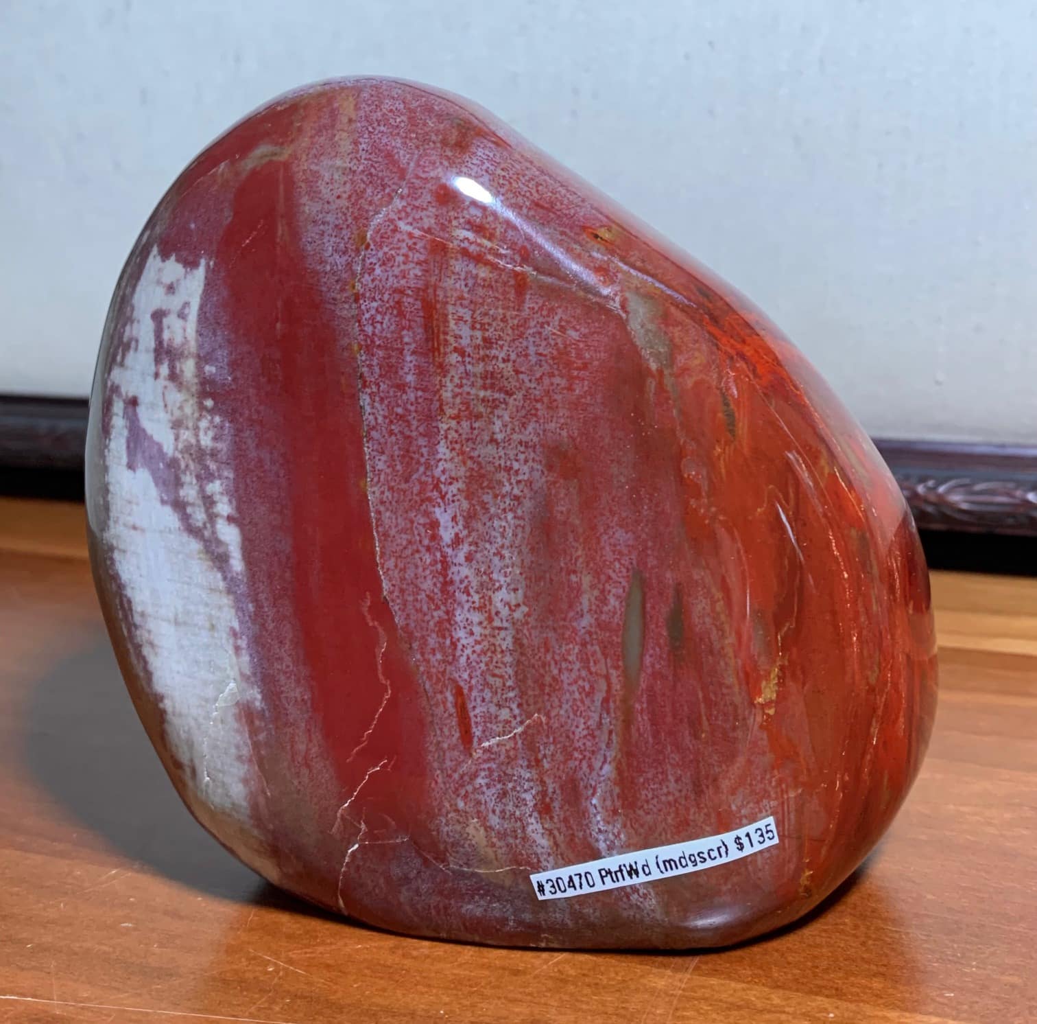 Petrified Wood Stand Up Nature Gallery