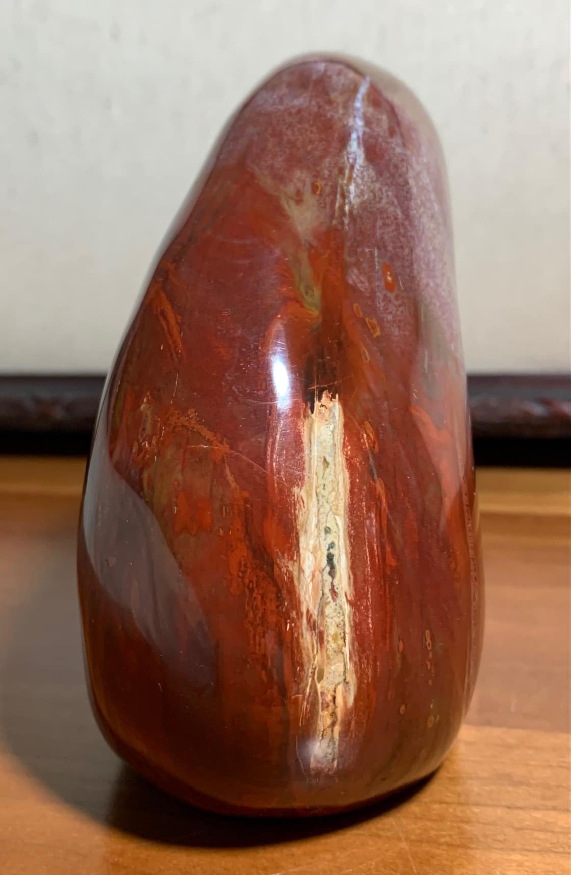 Petrified Wood Stand Up Nature Gallery